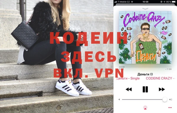 трава Карпинск