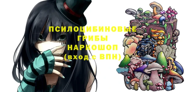 прущие грибы Армянск