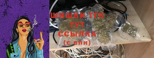 прущие грибы Армянск