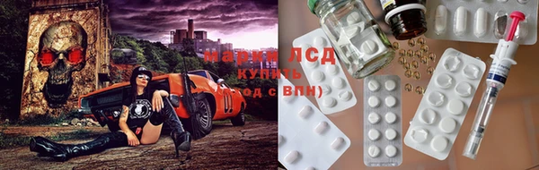 прущие грибы Армянск