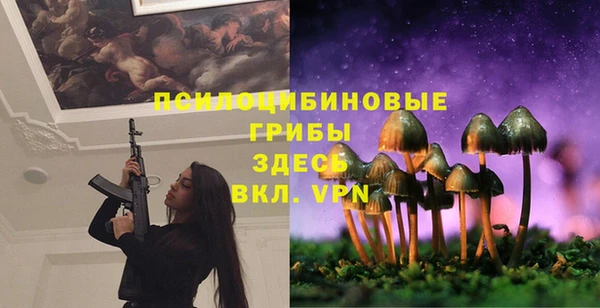 хмурый Карталы