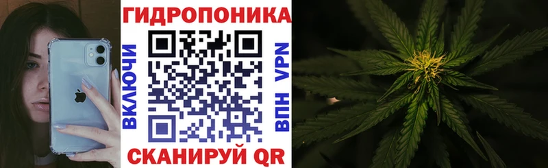 где можно купить   Баймак  Бошки Шишки планчик 